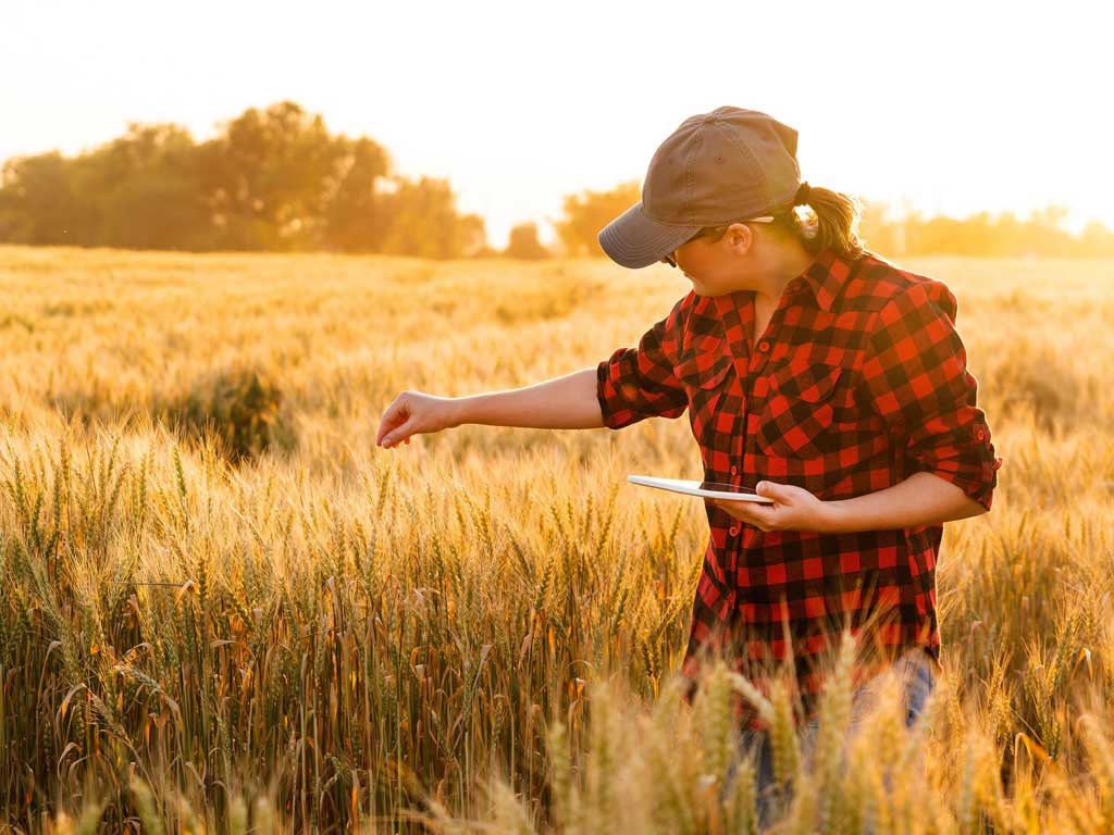Low-Code No-Code Statistics Trends In Agriculture survey results 2023.jpg
