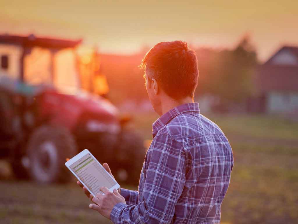 Ways Digital Transformation Improves Agriculture