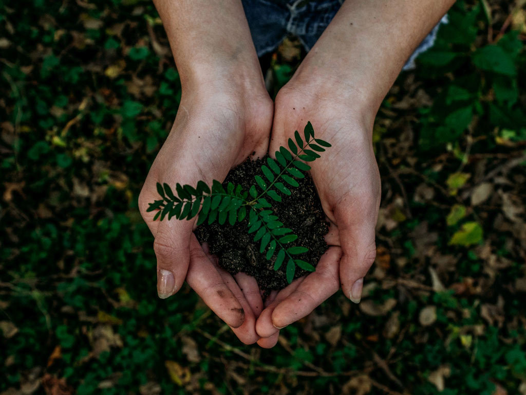 5 Ways Mobile Apps and Digital Forms Reduce Waste