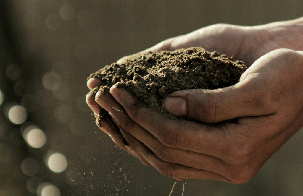 No-Code Data Capture Apps for Smart Agriculture: Case Study