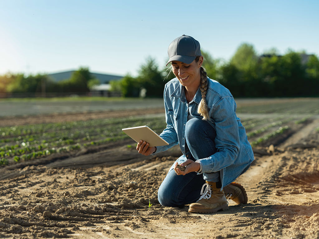 Digital Forms & No-Code Apps in Seed Testing & Agricultural Field Trials